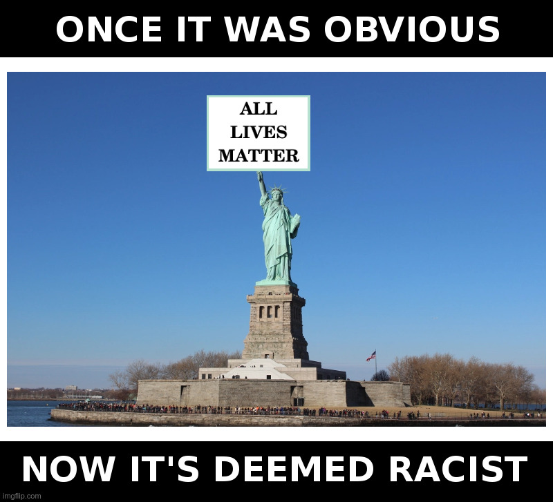 Statue of Liberty | image tagged in statue of liberty,all lives matter,black lives matter | made w/ Imgflip meme maker