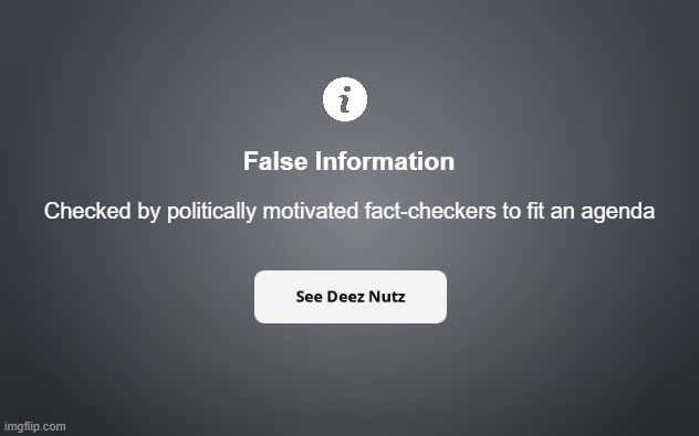 Facebook False Information | False Information; Checked by politically motivated fact-checkers to fit an agenda | image tagged in fake news,false flag,facebook,snopes,fact check | made w/ Imgflip meme maker
