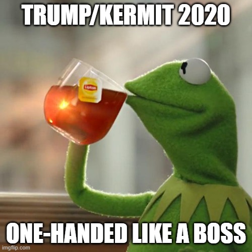 But That's None Of My Business | TRUMP/KERMIT 2020; ONE-HANDED LIKE A BOSS | image tagged in memes,but that's none of my business,kermit the frog | made w/ Imgflip meme maker