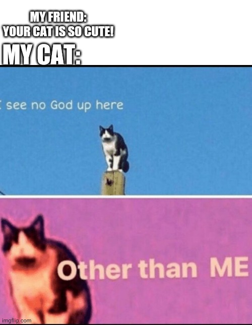 I see no god up here other than me | MY CAT:; MY FRIEND: YOUR CAT IS SO CUTE! | image tagged in i see no god up here other than me | made w/ Imgflip meme maker