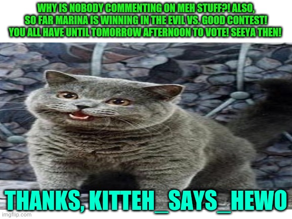 Just an anouncement | WHY IS NOBODY COMMENTING ON MEH STUFF?! ALSO, SO FAR MARINA IS WINNING IN THE EVIL VS. GOOD CONTEST! YOU ALL HAVE UNTIL TOMORROW AFTERNOON TO VOTE! SEEYA THEN! THANKS, KITTEH_SAYS_HEWO | image tagged in i can has cheezburger cat | made w/ Imgflip meme maker