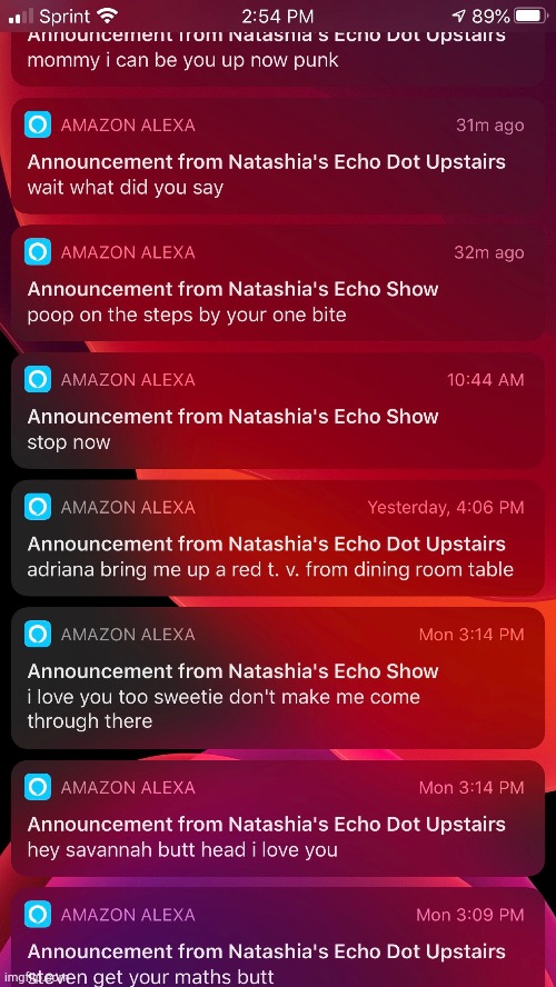 Amazon Echo Announcement Fail! | image tagged in amazon echo announcement fail | made w/ Imgflip meme maker