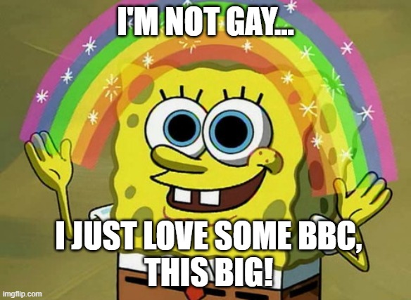 Just a bit of BBC... | I'M NOT GAY... I JUST LOVE SOME BBC,
 THIS BIG! | image tagged in gay,bbc,dick jokes | made w/ Imgflip meme maker