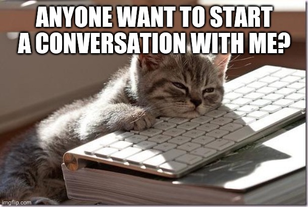 Bored Keyboard Cat | ANYONE WANT TO START A CONVERSATION WITH ME? | image tagged in bored keyboard cat | made w/ Imgflip meme maker