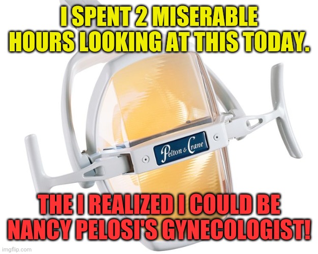 2 Miserable Hours | I SPENT 2 MISERABLE HOURS LOOKING AT THIS TODAY. THE I REALIZED I COULD BE NANCY PELOSI'S GYNECOLOGIST! | image tagged in nancy pelosi | made w/ Imgflip meme maker