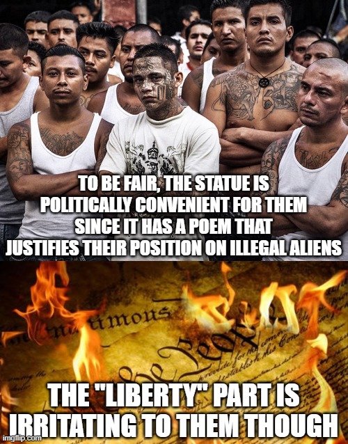 TO BE FAIR, THE STATUE IS POLITICALLY CONVENIENT FOR THEM SINCE IT HAS A POEM THAT JUSTIFIES THEIR POSITION ON ILLEGAL ALIENS THE "LIBERTY"  | image tagged in constitution in flames,ms-13 dreamers daca | made w/ Imgflip meme maker