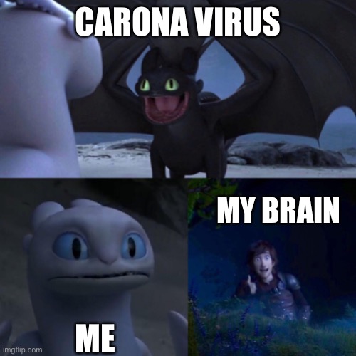 When you encounter someone that has coronavirus | CARONA VIRUS; MY BRAIN; ME | image tagged in night fury | made w/ Imgflip meme maker