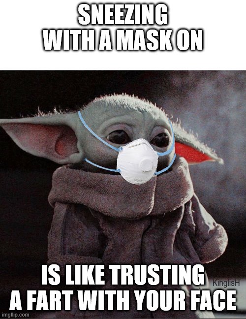 Coronavirus Baby Yoda | SNEEZING WITH A MASK ON; IS LIKE TRUSTING A FART WITH YOUR FACE | image tagged in coronavirus baby yoda | made w/ Imgflip meme maker