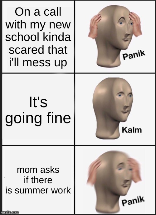Panik Kalm Panik Meme | On a call with my new school kinda scared that i'll mess up; It's going fine; mom asks if there is summer work | image tagged in memes,panik kalm panik | made w/ Imgflip meme maker