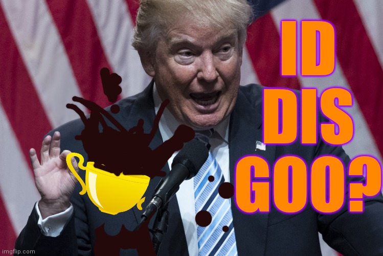 Trump's Small Hands - know a little something about voter fraud | ID DIS GOO? | image tagged in trump's small hands - know a little something about voter fraud | made w/ Imgflip meme maker