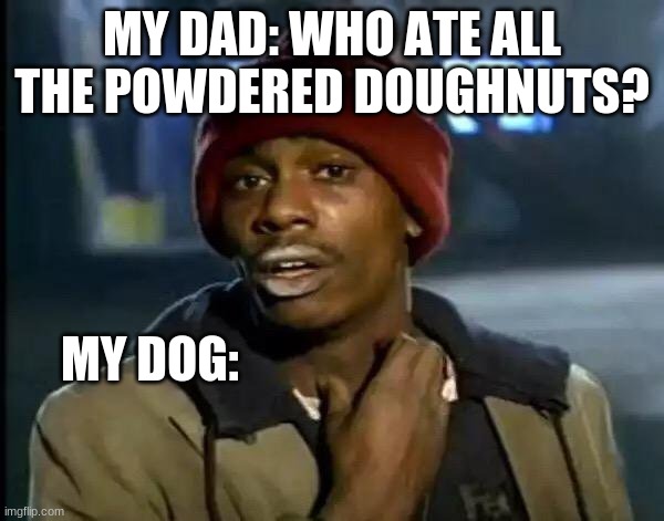 my dog | MY DAD: WHO ATE ALL THE POWDERED DOUGHNUTS? MY DOG: | image tagged in memes,y'all got any more of that | made w/ Imgflip meme maker