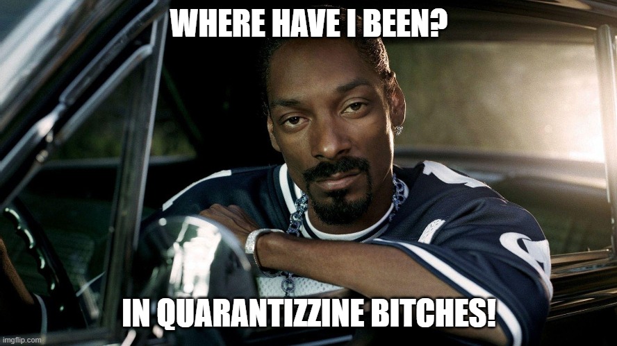 Snoop has been in quarantizzine | WHERE HAVE I BEEN? IN QUARANTIZZINE BITCHES! | image tagged in snoop dogg approves | made w/ Imgflip meme maker