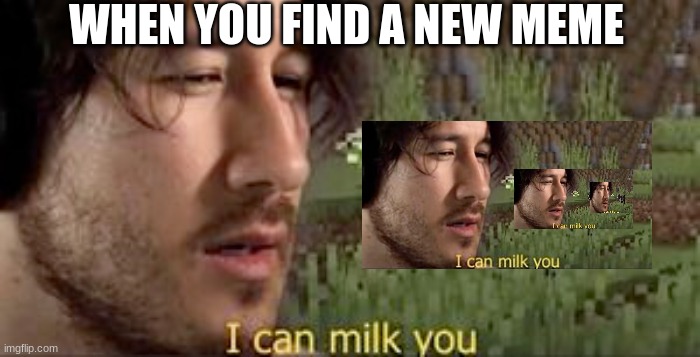 When You find  a new meme. | WHEN YOU FIND A NEW MEME | image tagged in markiplier,i can milk you | made w/ Imgflip meme maker
