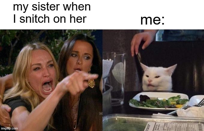 well it's actually my brother snitching on me | my sister when I snitch on her; me: | image tagged in memes,woman yelling at cat | made w/ Imgflip meme maker