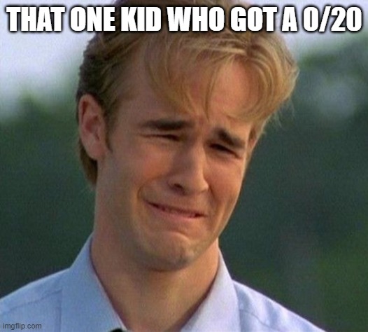1990s First World Problems Meme | THAT ONE KID WHO GOT A 0/20 | image tagged in memes,1990s first world problems | made w/ Imgflip meme maker