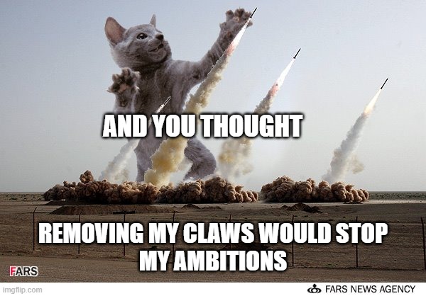 And You Thought | AND YOU THOUGHT; REMOVING MY CLAWS WOULD STOP
MY AMBITIONS | image tagged in cats,memes,funny,ambitions,thought,missiles | made w/ Imgflip meme maker