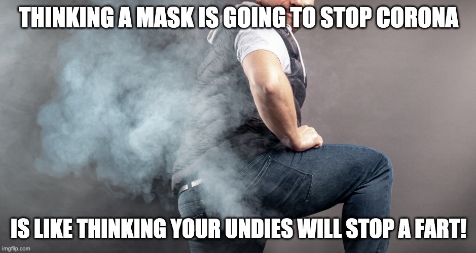 Thinking a mask is going to stop corona is like thinking your undies will stop a fart! | THINKING A MASK IS GOING TO STOP CORONA; IS LIKE THINKING YOUR UNDIES WILL STOP A FART! | image tagged in face mask,mask,coronavirus,covid-19,fart | made w/ Imgflip meme maker