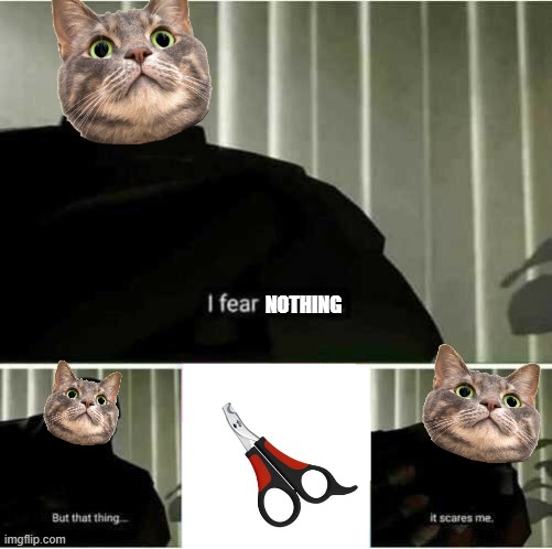 I fear no man | NOTHING | image tagged in i fear no man | made w/ Imgflip meme maker