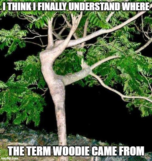 Now It's Clear | I THINK I FINALLY UNDERSTAND WHERE; THE TERM WOODIE CAME FROM | image tagged in memes,woodie,funny,sexy,funny memes | made w/ Imgflip meme maker