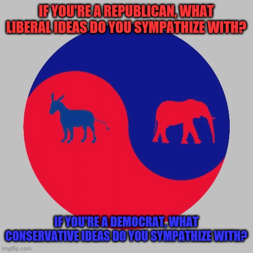 American Yin & Yang | IF YOU'RE A REPUBLICAN, WHAT LIBERAL IDEAS DO YOU SYMPATHIZE WITH? IF YOU'RE A DEMOCRAT, WHAT CONSERVATIVE IDEAS DO YOU SYMPATHIZE WITH? | image tagged in american yin  yang | made w/ Imgflip meme maker