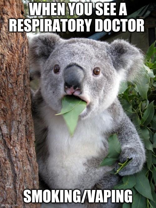 That would be a terrible sight to see | WHEN YOU SEE A RESPIRATORY DOCTOR; SMOKING/VAPING | image tagged in memes,surprised koala | made w/ Imgflip meme maker
