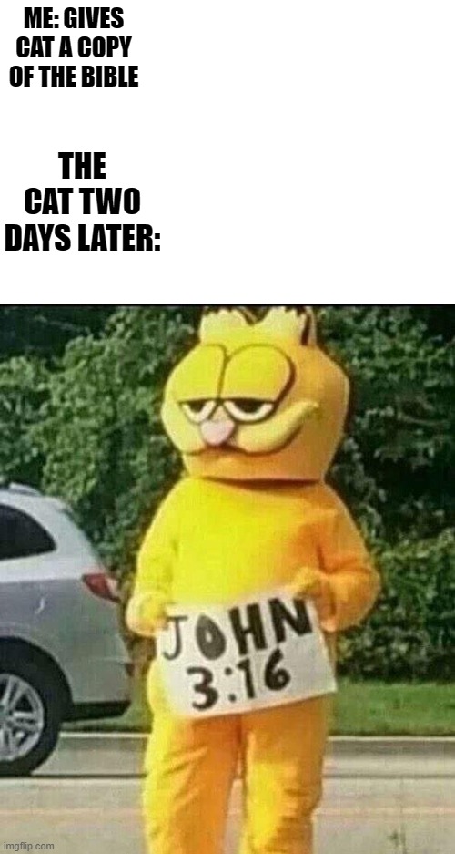 Orange | ME: GIVES CAT A COPY OF THE BIBLE; THE CAT TWO DAYS LATER: | image tagged in garfield,memes,funny,the bible | made w/ Imgflip meme maker