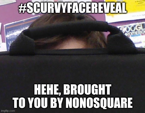 Jeiskwnssnsjikw | #SCURVYFACEREVEAL; HEHE, BROUGHT TO YOU BY NONOSQUARE | made w/ Imgflip meme maker