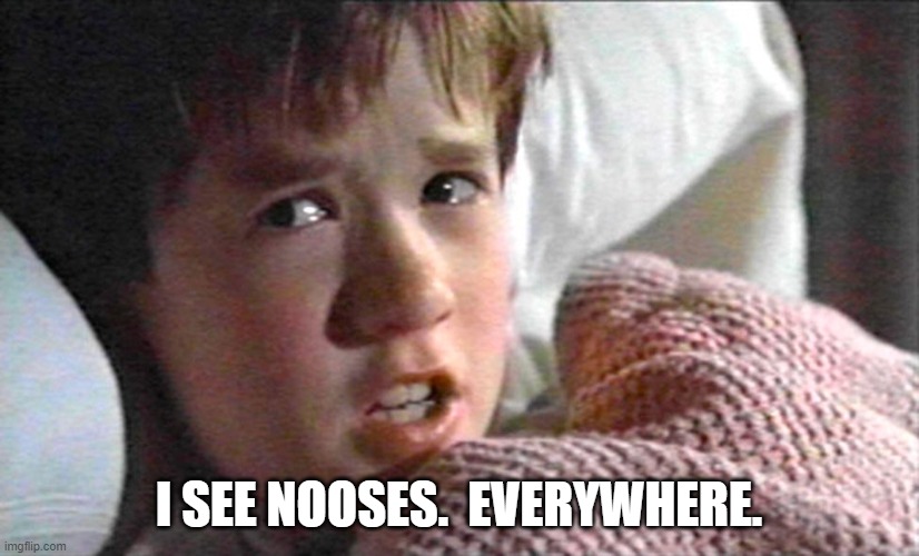 6th sense | I SEE NOOSES.  EVERYWHERE. | image tagged in 6th sense | made w/ Imgflip meme maker