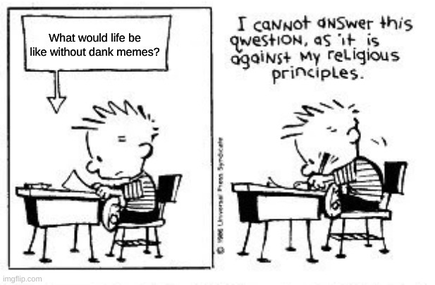 Dank memes |  What would life be like without dank memes? | image tagged in i cannot answer this question,calvin and hobbes,dank memes,custom template | made w/ Imgflip meme maker