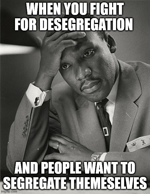 Martin Luther King Jr Facepalm | WHEN YOU FIGHT FOR DESEGREGATION; AND PEOPLE WANT TO SEGREGATE THEMESELVES | image tagged in martin luther king jr facepalm | made w/ Imgflip meme maker