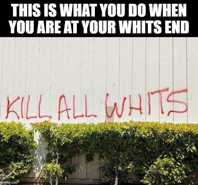 Kill All Whits | THIS IS WHAT YOU DO WHEN YOU ARE AT YOUR WHITS END | image tagged in racism,funny,funny memes,memes | made w/ Imgflip meme maker