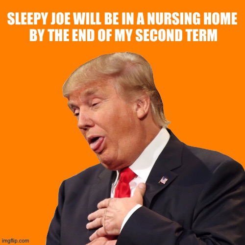 Orange Pun | SLEEPY JOE WILL BE IN A NURSING HOME
 BY THE END OF MY SECOND TERM | image tagged in orange pun | made w/ Imgflip meme maker