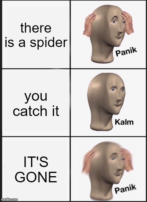 Panik Kalm Panik Meme | there is a spider; you catch it; IT'S GONE | image tagged in memes,panik kalm panik | made w/ Imgflip meme maker