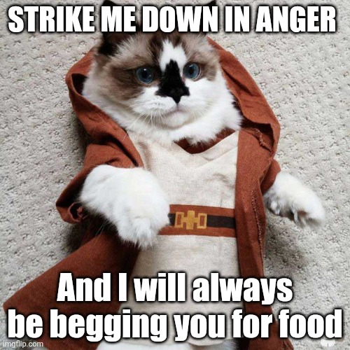 STRIKE ME DOWN IN ANGER; And I will always be begging you for food | image tagged in star wars cat | made w/ Imgflip meme maker