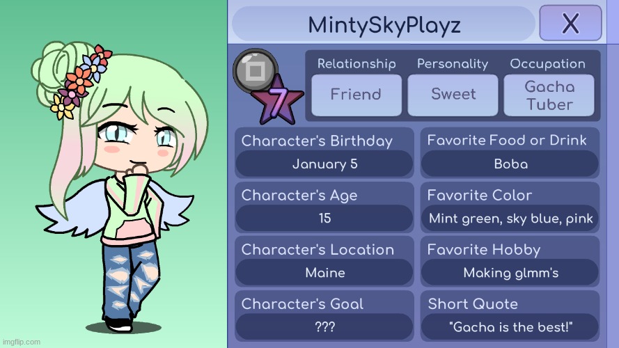 This is MintySkyPlayz, my irl friend! | made w/ Imgflip meme maker