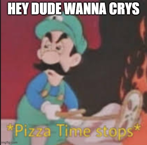 Pizza Time Stops | HEY DUDE WANNA CRYS | image tagged in pizza time stops | made w/ Imgflip meme maker