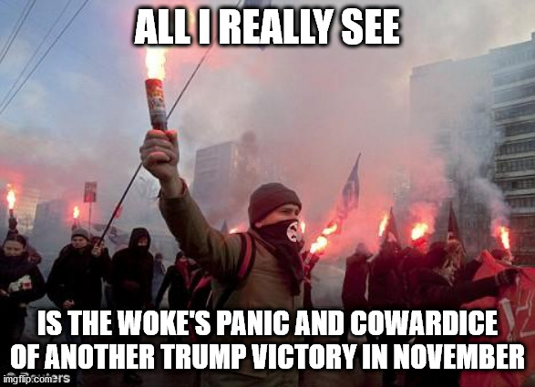 Woke Protest | ALL I REALLY SEE; IS THE WOKE'S PANIC AND COWARDICE OF ANOTHER TRUMP VICTORY IN NOVEMBER | image tagged in protest,democrats,woke,protesters,trump | made w/ Imgflip meme maker