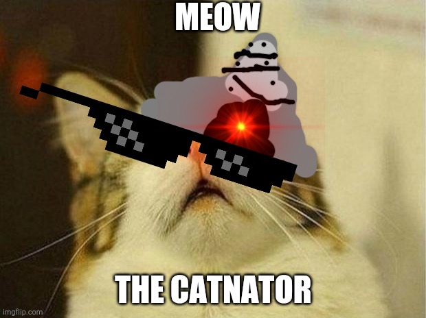 The catnator | MEOW; THE CATNATOR | image tagged in memes,scared cat,the teminator | made w/ Imgflip meme maker