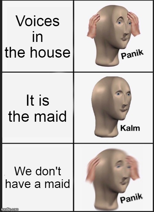 Another mixed tag to post another (Big Brain) | Voices in the house; It is the maid; We don't have a maid | image tagged in memes,panik kalm panik | made w/ Imgflip meme maker