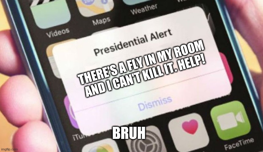Presidential Alert Meme | THERE'S A FLY IN MY ROOM AND I CAN'T KILL IT. HELP! BRUH | image tagged in memes,presidential alert | made w/ Imgflip meme maker
