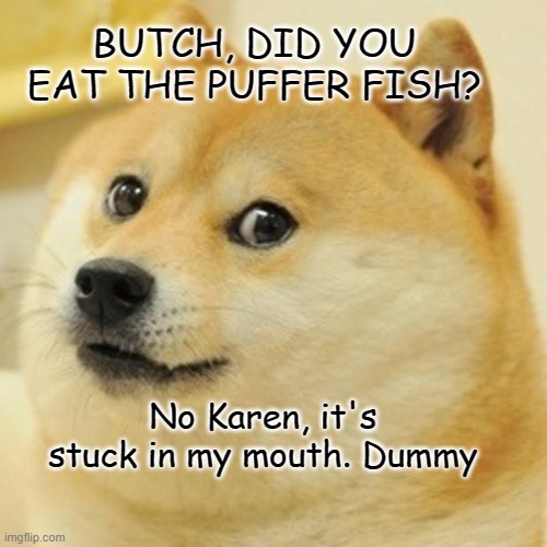 Doge Meme | BUTCH, DID YOU EAT THE PUFFER FISH? No Karen, it's stuck in my mouth. Dummy | image tagged in memes,doge | made w/ Imgflip meme maker