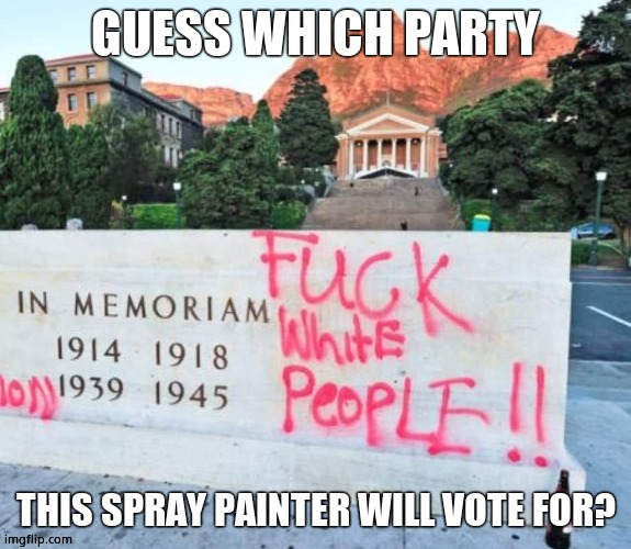 GUESS WHICH PARTY; THIS SPRAY PAINTER WILL VOTE FOR? | image tagged in blm | made w/ Imgflip meme maker