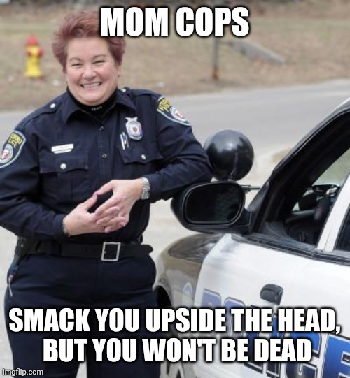 Mom cops | MOM COPS; SMACK YOU UPSIDE THE HEAD,
 BUT YOU WON'T BE DEAD | image tagged in police,protesters,mothers | made w/ Imgflip meme maker