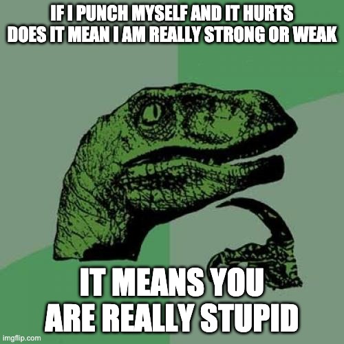 Philosoraptor | IF I PUNCH MYSELF AND IT HURTS DOES IT MEAN I AM REALLY STRONG OR WEAK; IT MEANS YOU ARE REALLY STUPID | image tagged in memes,philosoraptor | made w/ Imgflip meme maker