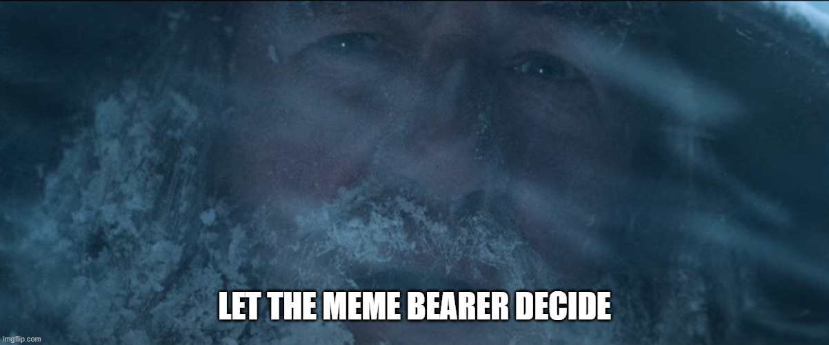 Let the Meme Bearer Decide |  LET THE MEME BEARER DECIDE | image tagged in let the memebearer decide,decisions,bad decision,choose wisely,choose | made w/ Imgflip meme maker