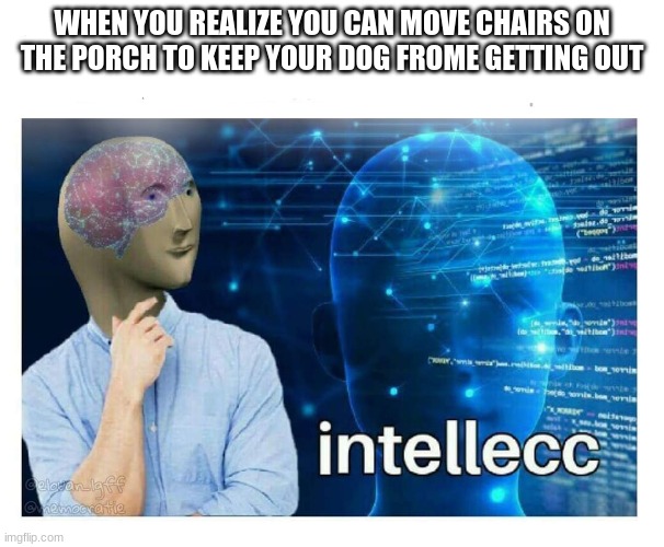 Intelecc | WHEN YOU REALIZE YOU CAN MOVE CHAIRS ON THE PORCH TO KEEP YOUR DOG FROME GETTING OUT | image tagged in intelecc,yeah this is big brain time | made w/ Imgflip meme maker