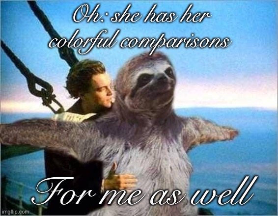 I call my wife a high-performance, high-maintenance car. She calls me a sloth. Somehow, we work. | Oh: she has her colorful comparisons For me as well | image tagged in sloth titanic,bugatti,car,marriage,sloth,wife | made w/ Imgflip meme maker