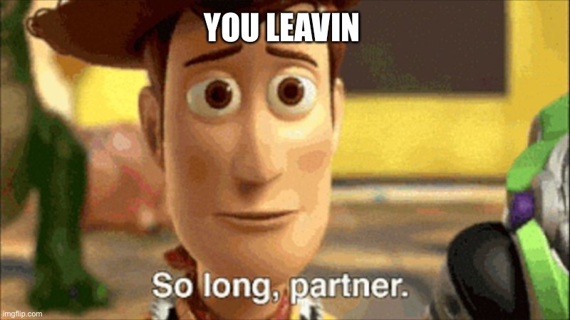 so long partner | YOU LEAVIN | image tagged in so long partner | made w/ Imgflip meme maker