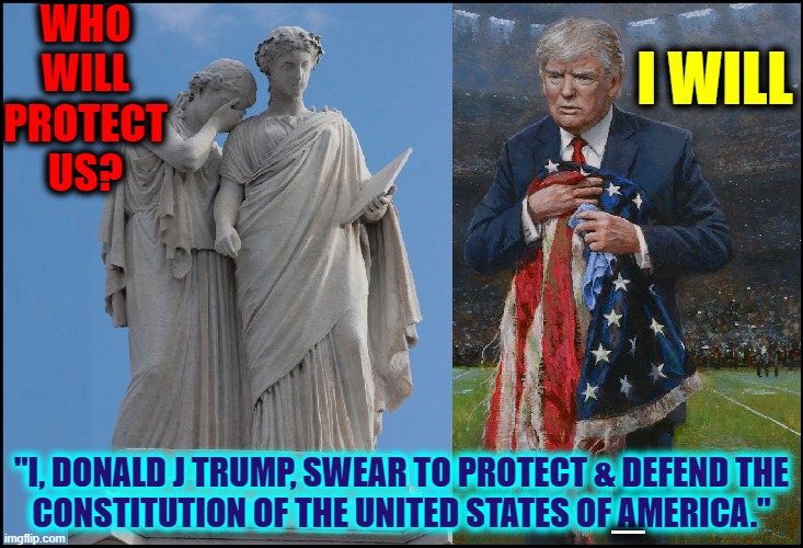 The Only Man in Washington who  Stands Up Against the Anarchists | WHO WILL PROTECT US? I WILL; "I, DONALD J TRUMP, SWEAR TO PROTECT & DEFEND THE
CONSTITUTION OF THE UNITED STATES OF AMERICA."; — | image tagged in vince vance,donald trump,united states of america,memes,donald j trump,the constitution | made w/ Imgflip meme maker
