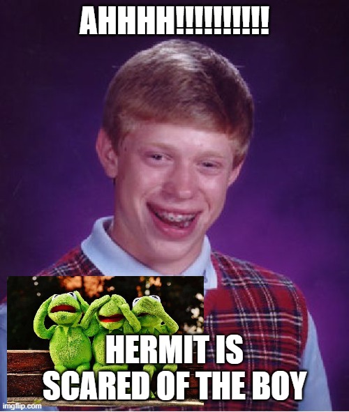 Kermet | AHHHH!!!!!!!!!! HERMIT IS SCARED OF THE BOY | image tagged in memes,bad luck brian | made w/ Imgflip meme maker